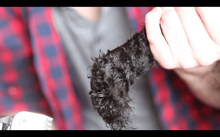 promotional video newfoundland