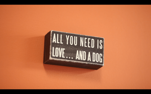 promotional video for jake's grooming