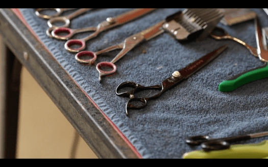 jake's grooming parlour promotional video