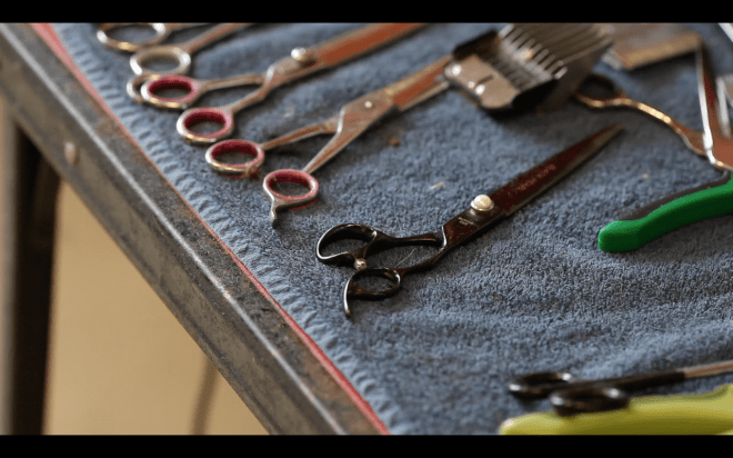 jake's grooming parlour promotional video