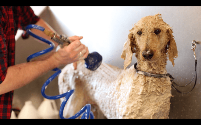 jake's grooming parlour promotional video