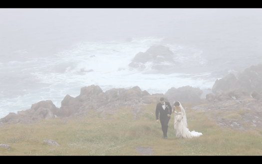 tin bird productions inc