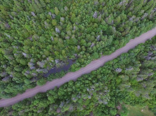 aerial photography, drone, newfoundland