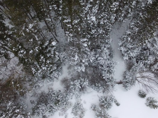 drones newfoundland, drone photography, aerial