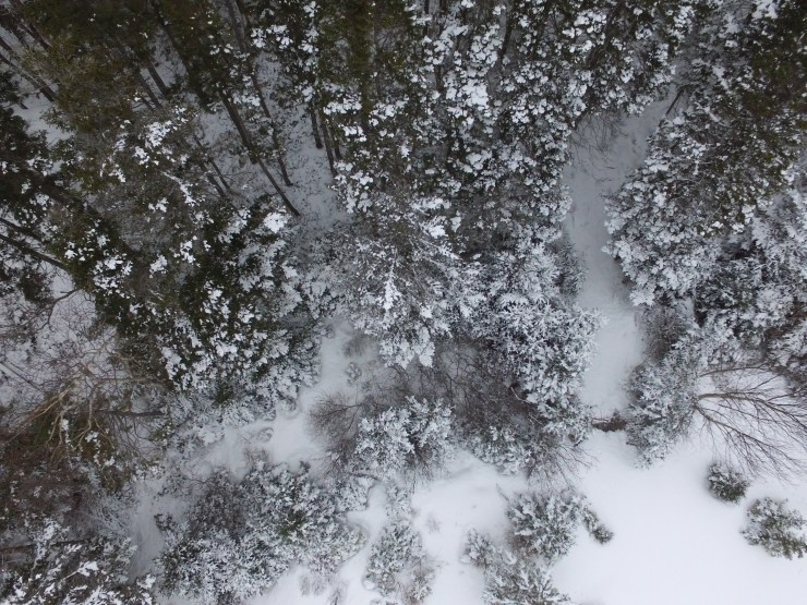 drones newfoundland, drone photography, aerial